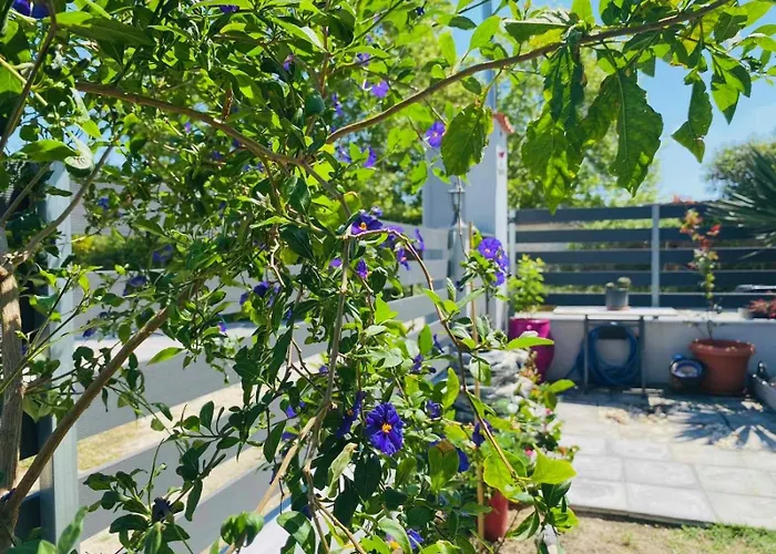 Penzion Artemida Chanioti