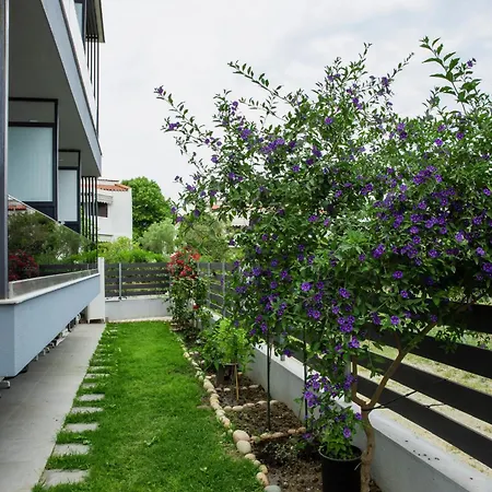 Πανσιόν Artemida